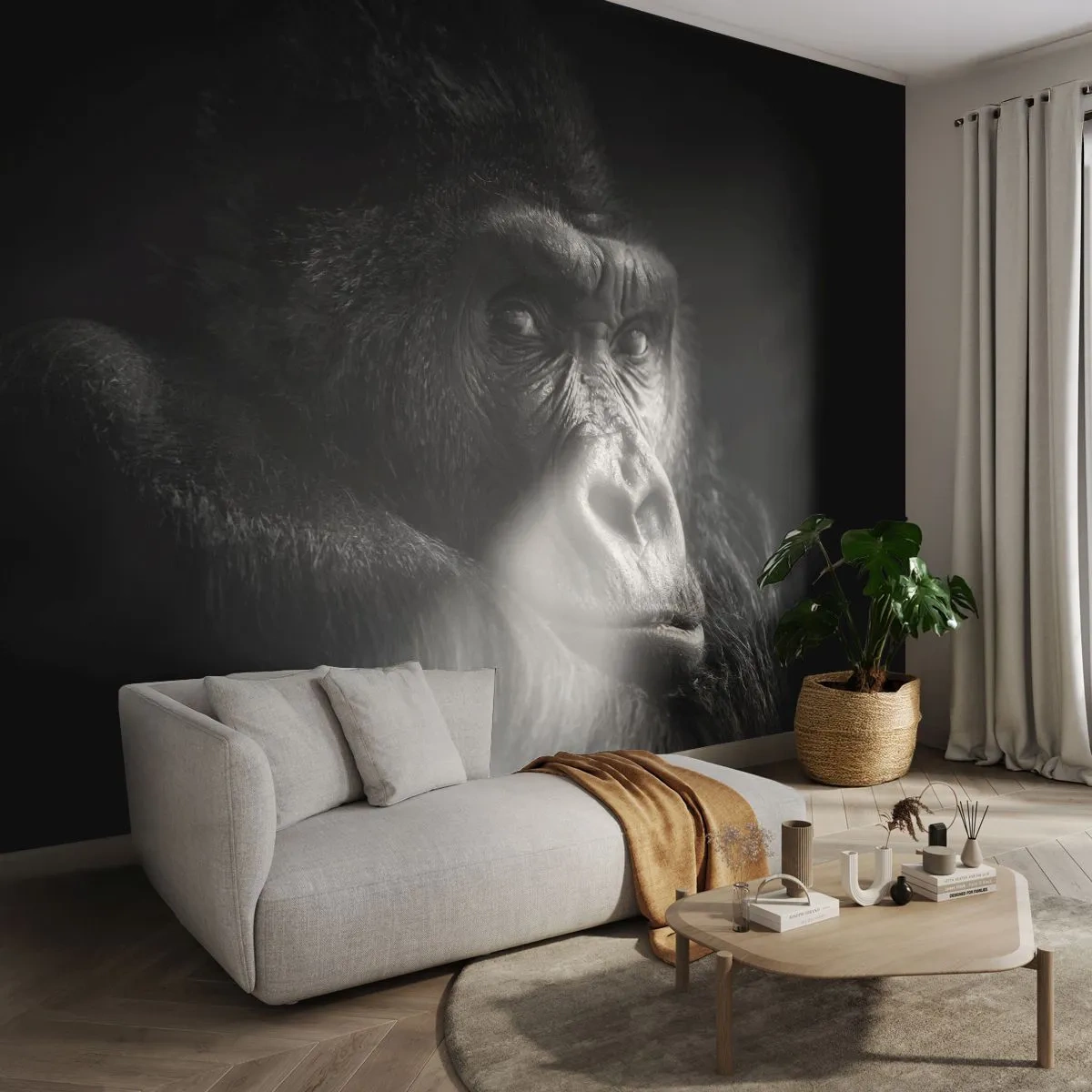 Samolepiaca Fototapeta Deluxe Sticker - Na čo sa tak pozeráš? - Opica, Gorila, Zvieratá - 250x175 cm