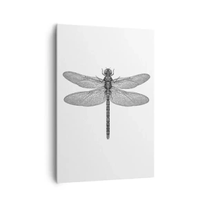 Obraz na plátne - Presnosť prírody - 70x100 cm