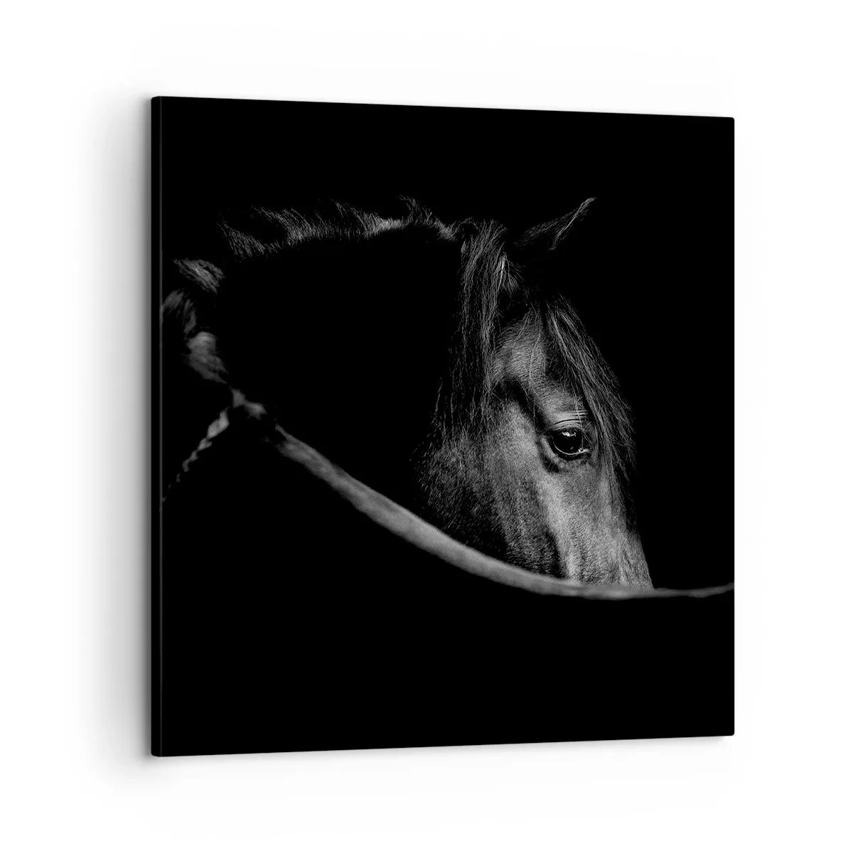 Obraz na plátne - Čierny knieža - 60x60 cm