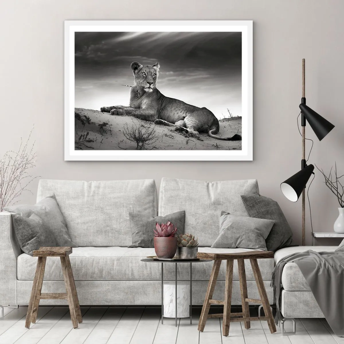 Plagát v bielom ráme - Odpočinok kráľovnej púšte - 91x61 cm