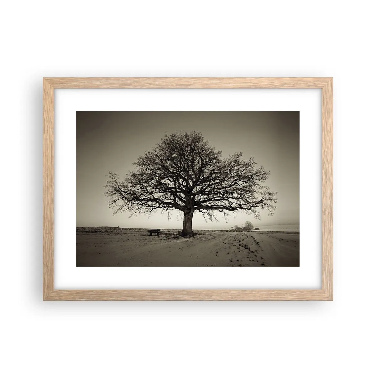 Plagát v ráme zo svetlého duba - Odtiaľ až do večnosti - 40x30 cm