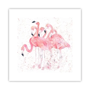 Plagát - Ružový ansámbl - 30x30 cm