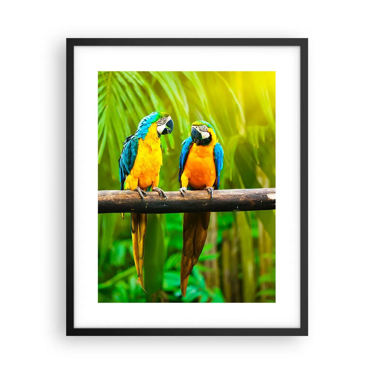 Plagát v čiernom ráme - Počula si, že ona…? - 40x50 cm