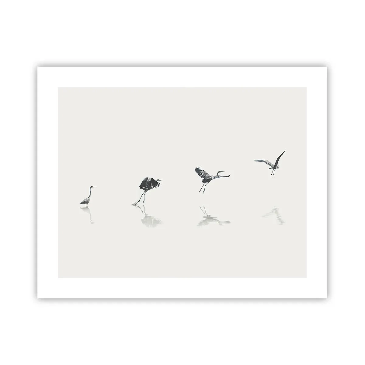 Plagát - Štyri jednoduché kroky - 50x40 cm