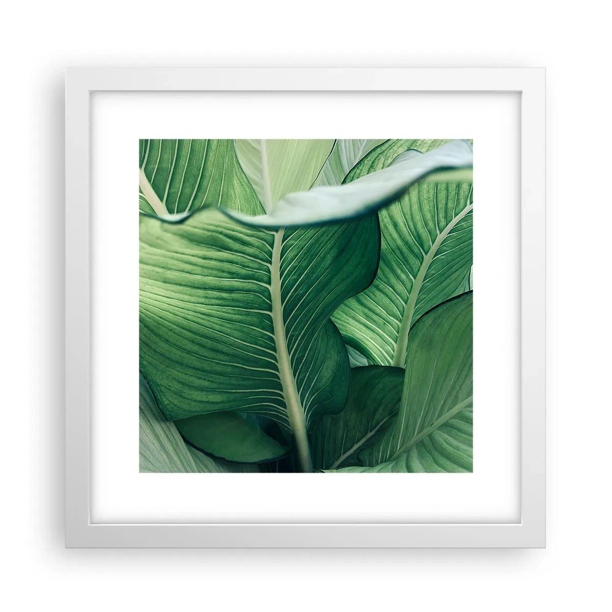 Plagát v bielom ráme - Intenzívne zelený život - 30x30 cm