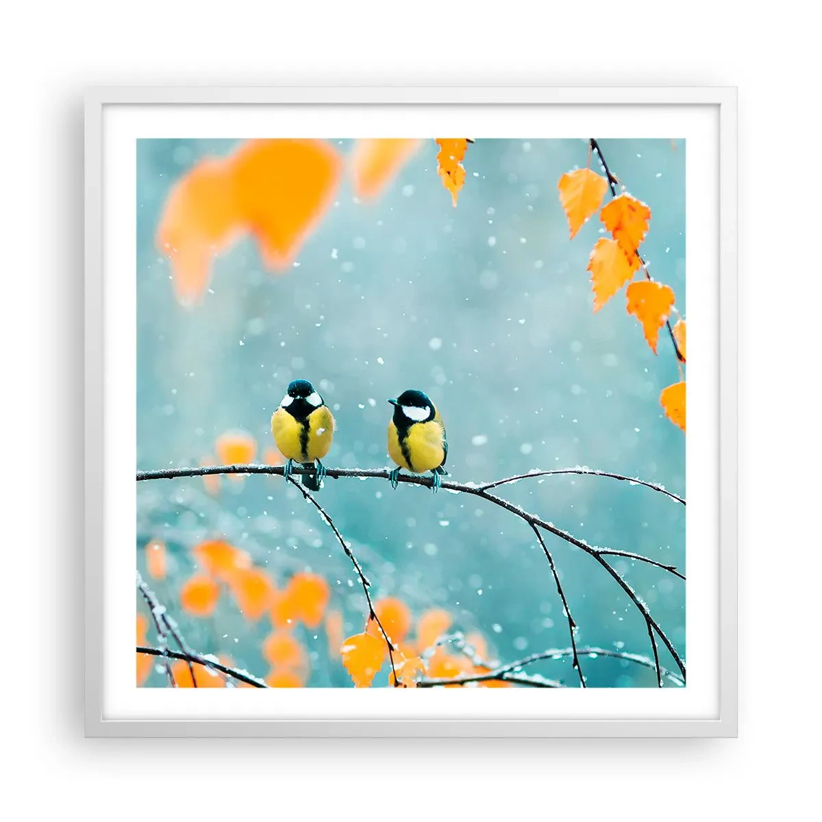 Plagát v bielom ráme - Vtáčie klebety - 60x60 cm