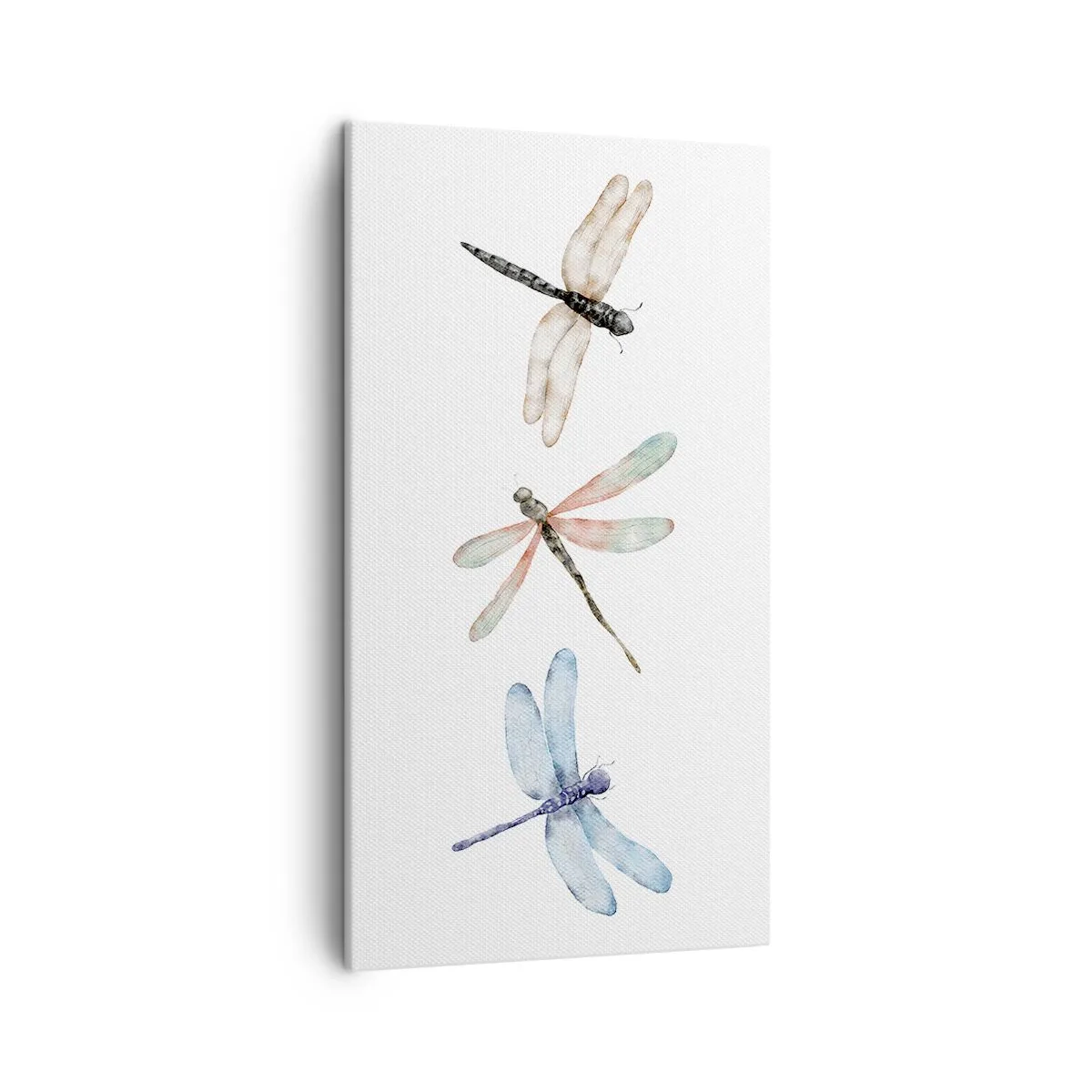 Obraz na plátne - Beztiažové vážky - 45x80 cm