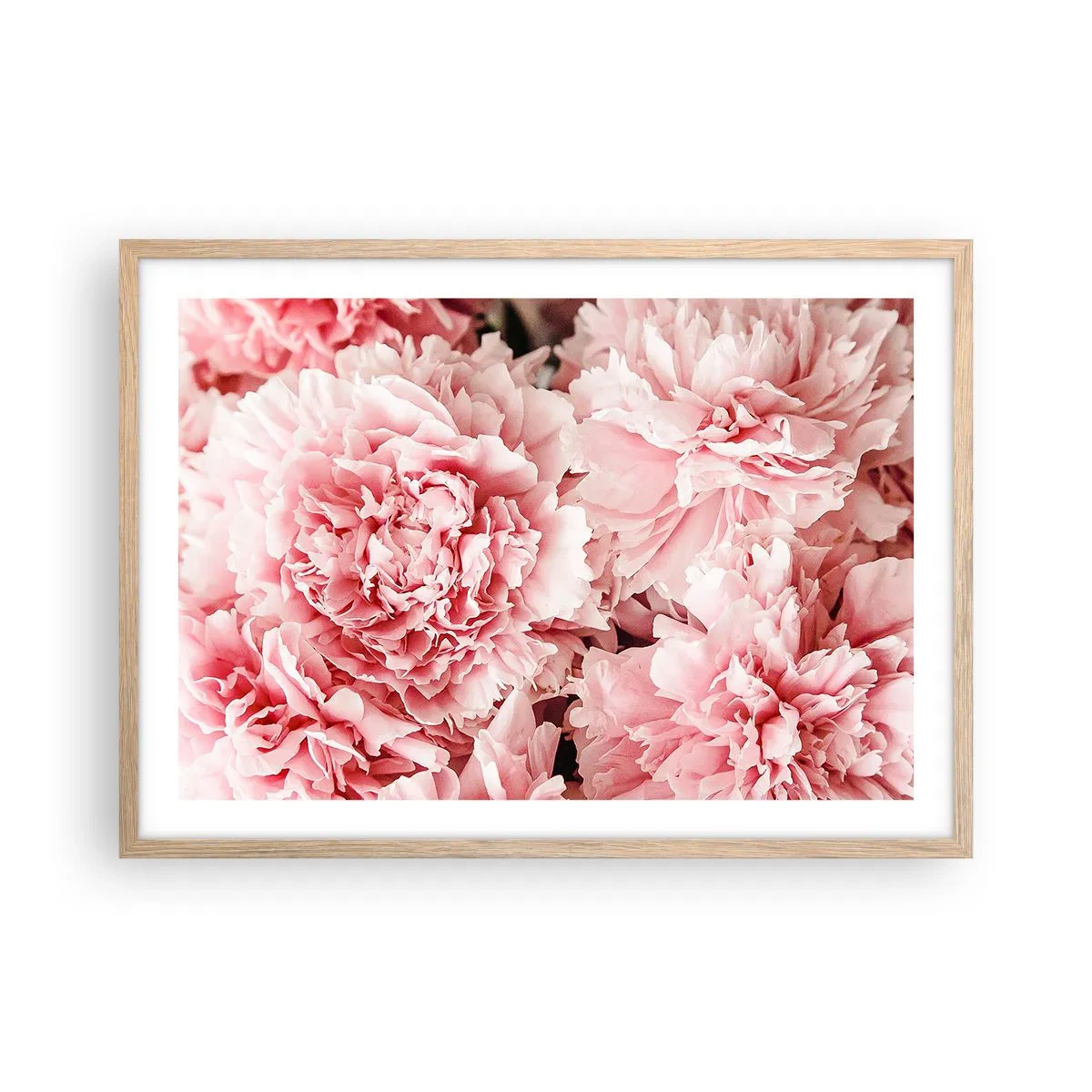 Plagát v ráme zo svetlého duba - Ružový sen - 70x50 cm