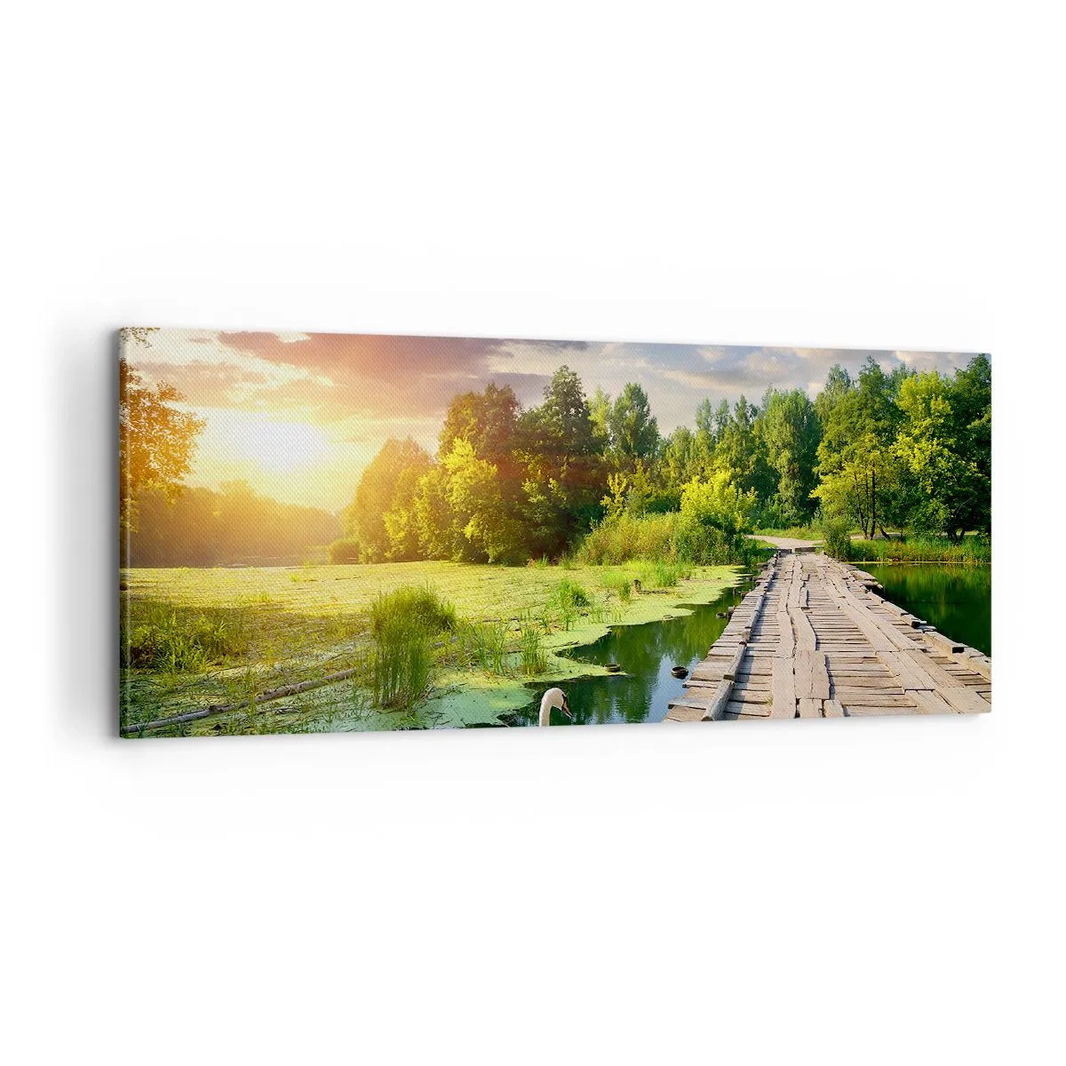Obraz na plátne - Leto, leto všade - 100x40 cm