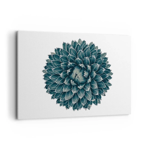 Obraz na plátne - Hviezda púšte - 100x70 cm