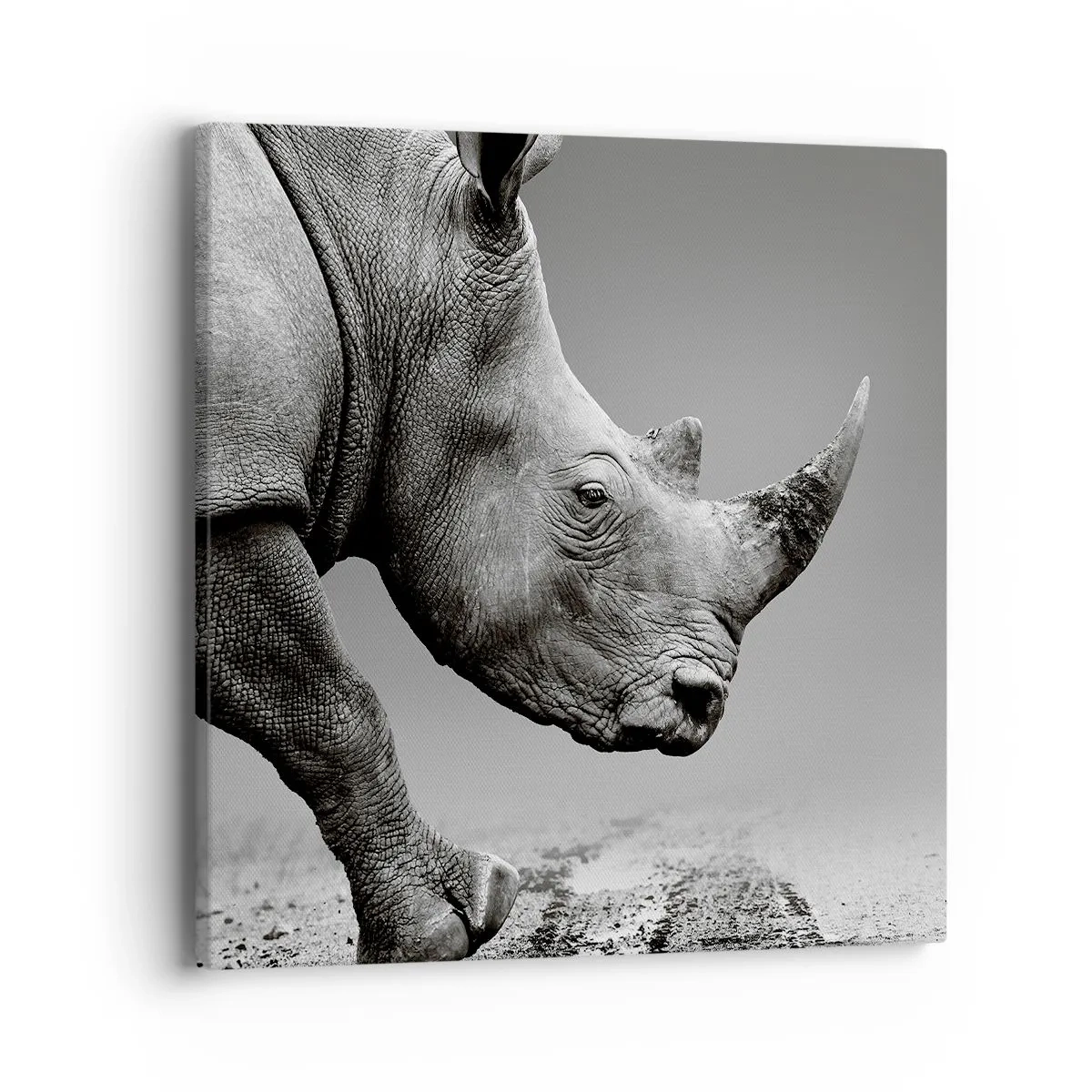 Obraz na plátne - Nezastaviteľná sila - 40x40 cm