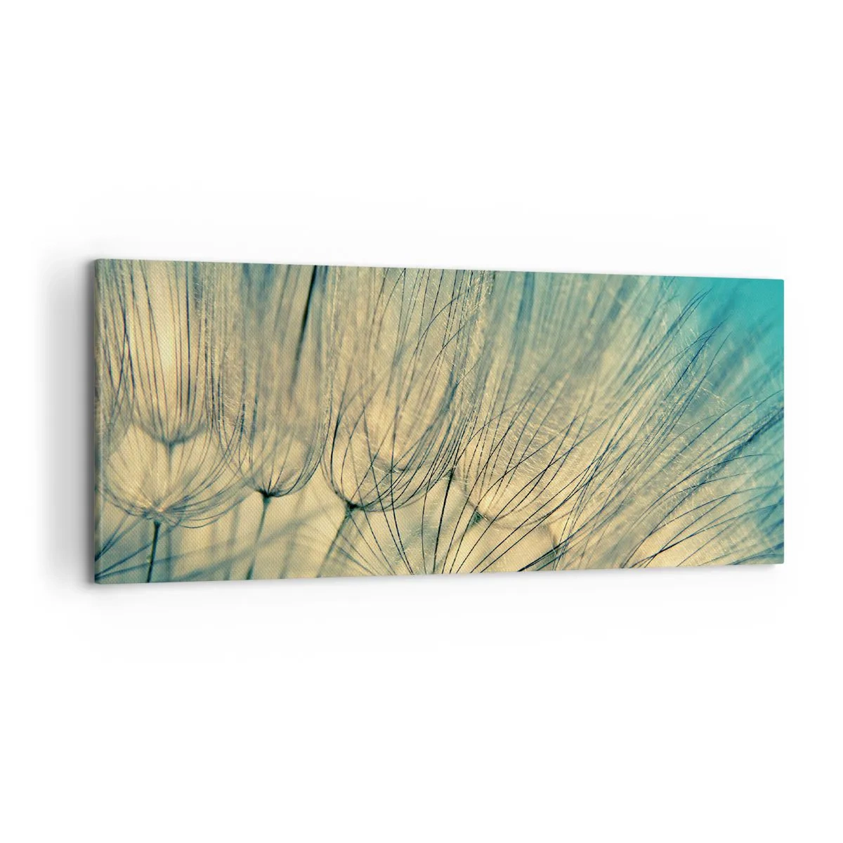 Obraz na plátne - Čakanie na vietor - 100x40 cm