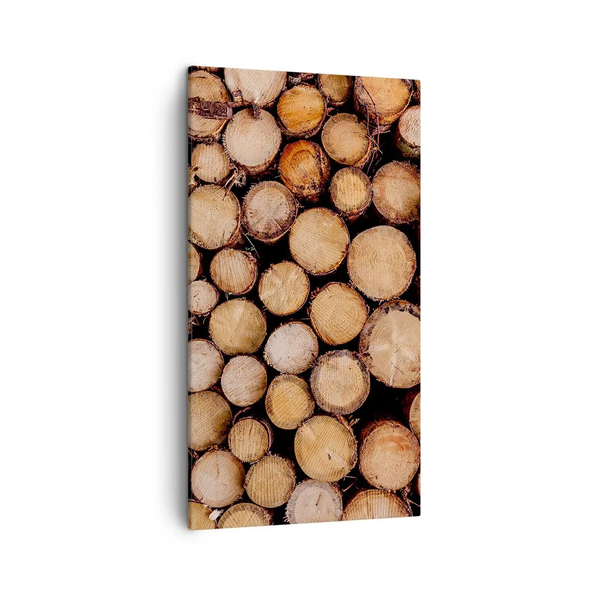 Obraz na plátne - Nový začiatok - 45x80 cm