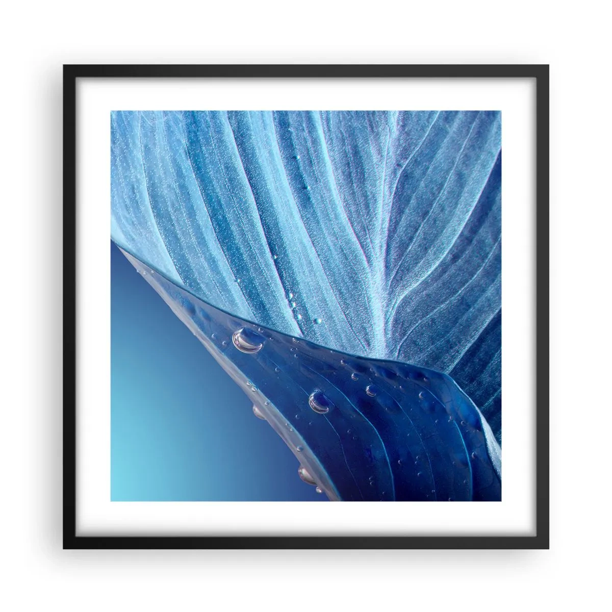Plagát v čiernom ráme - Skryté kvapky modrej - 50x50 cm