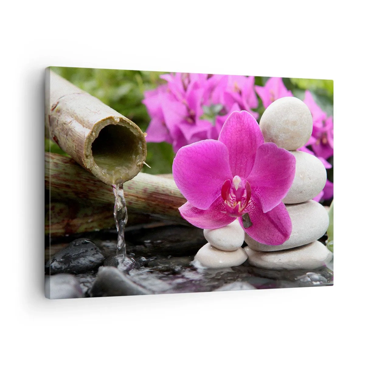 Obraz na plátne - Fialová orchidea, kamene a bambus s vodou v relaxačnom prostredí - 70x50cm - Už odpočívaš - Moderná nástenná dekorácia do obývacej izby a spálne ARTTOR