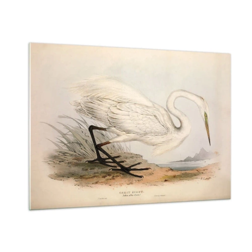 Obraz na skle - Pani rákosín - 100x70 cm