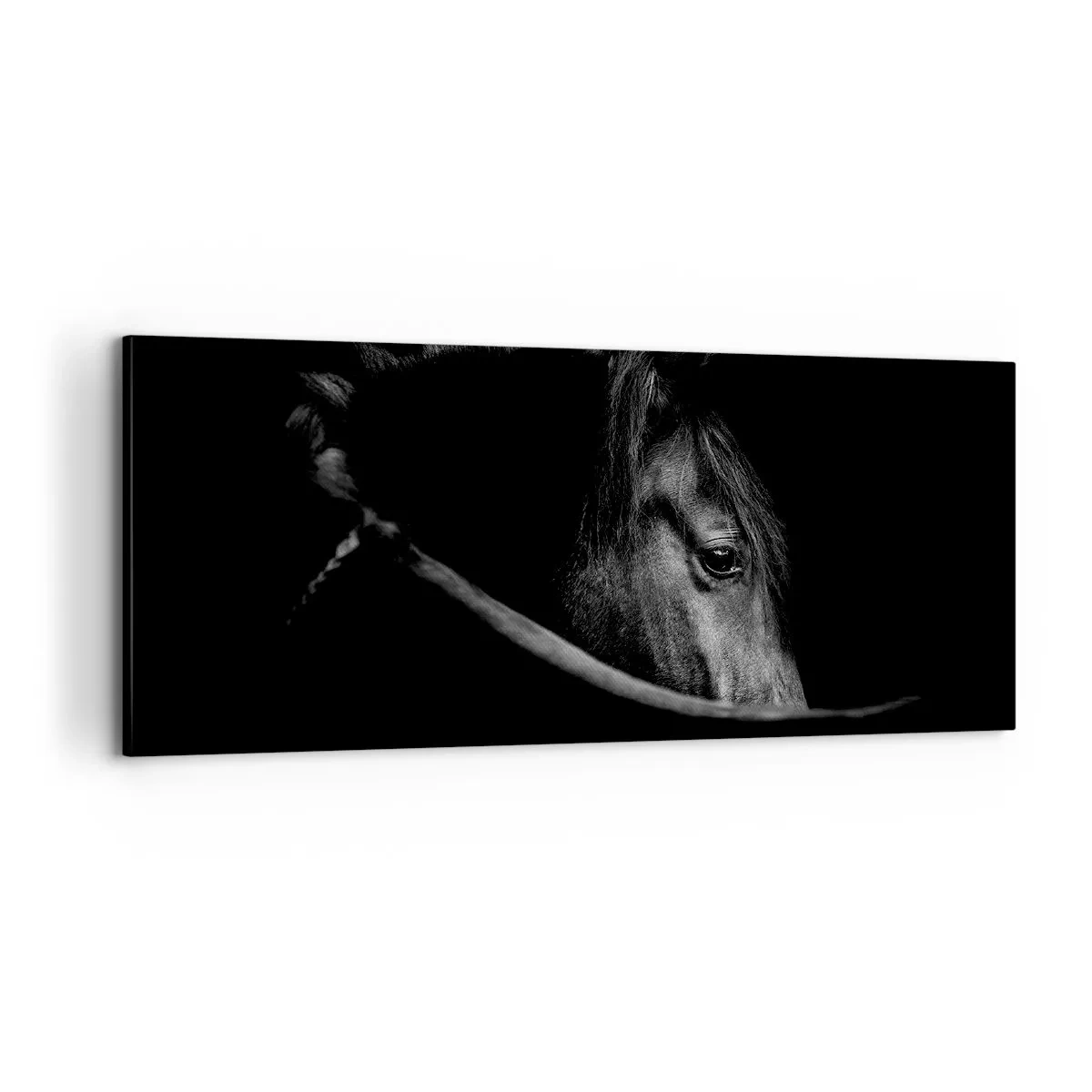Obraz na plátne - Čierny knieža - 100x40 cm