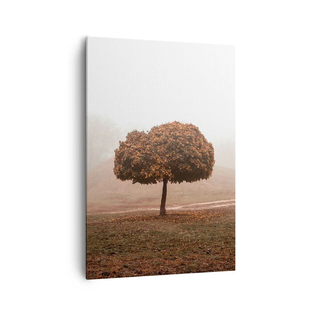 Obraz na plátne - Po rušnom lete - 70x100 cm