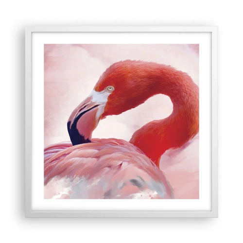 Plagát v bielom ráme - Vtáčia krása - 50x50 cm