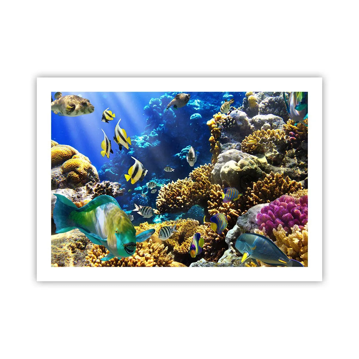 Plagát - Veľká prevádzka na prázdninovom chodníku - 70x50 cm