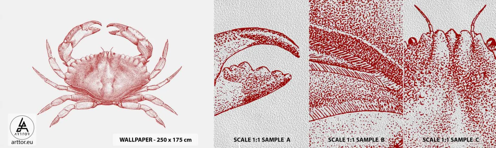 Vzorka fototapety Premium Sand - Krab nad kraby - Krab, Morské plody, Mäkkýše - 100x30 cm