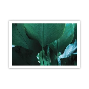 Plagát - Obrátené k svetlu - 91x61 cm