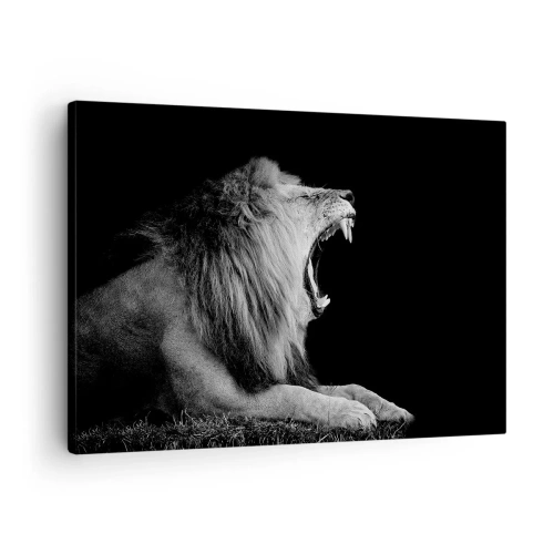 Obraz na plátne - Revúci lev na čiernom pozadí v čiernobielych tónoch - 70x50cm - Bez najmenších pochýb - Moderná nástenná dekorácia do obývacej izby a spálne ARTTOR