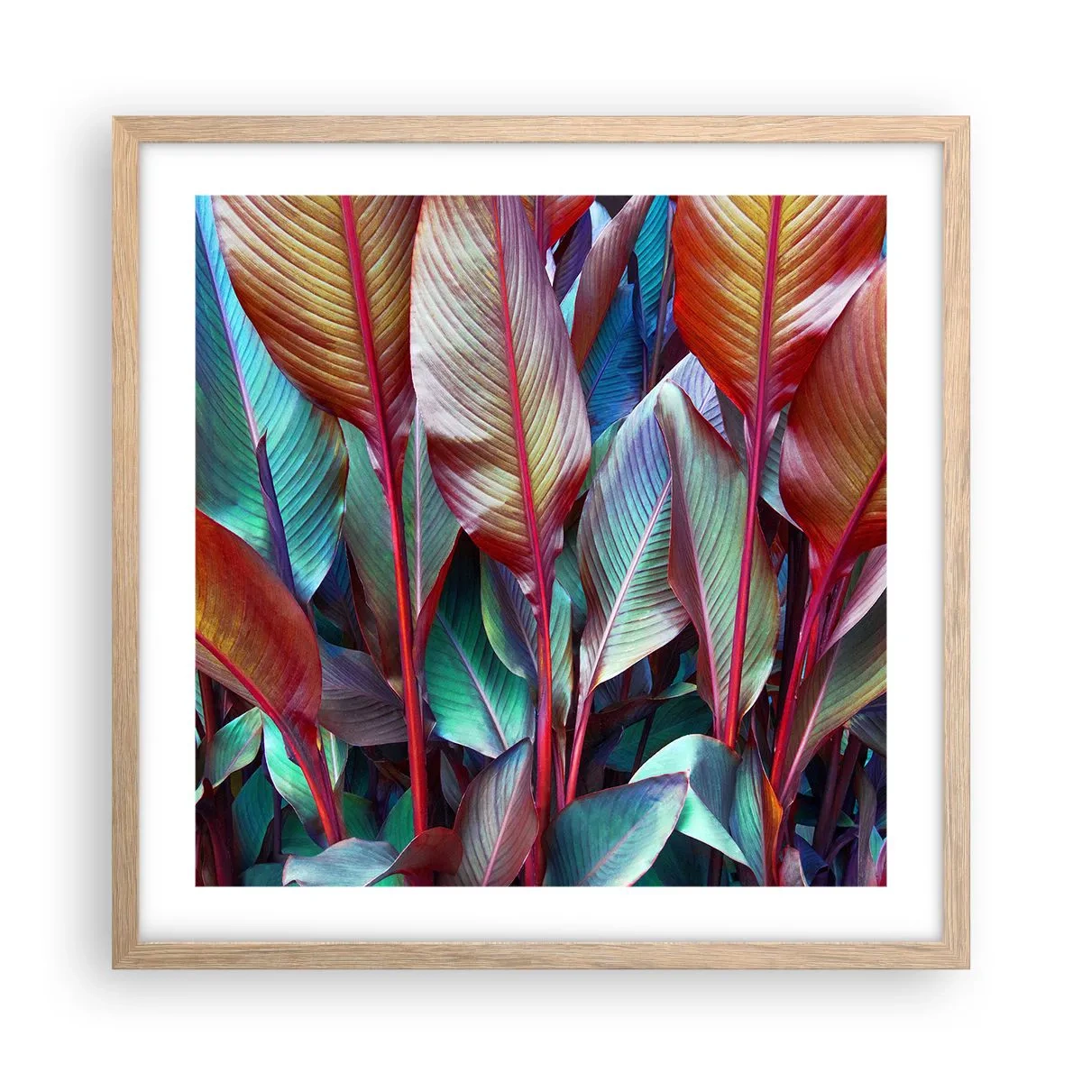 Plagát v ráme zo svetlého duba - Farebná húština - 50x50 cm