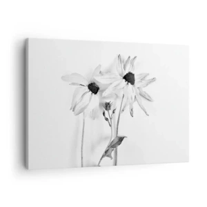 Obraz na plátne - Čiernobiele kvety s jemnou kompozíciou - 70x50cm - Nikto nechce byť sám - Moderná nástenná dekorácia do obývacej izby a spálne ARTTOR