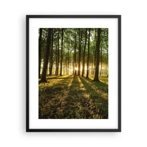 Plagát v čiernom ráme - Fotografie všetkých jarí - 40x50 cm