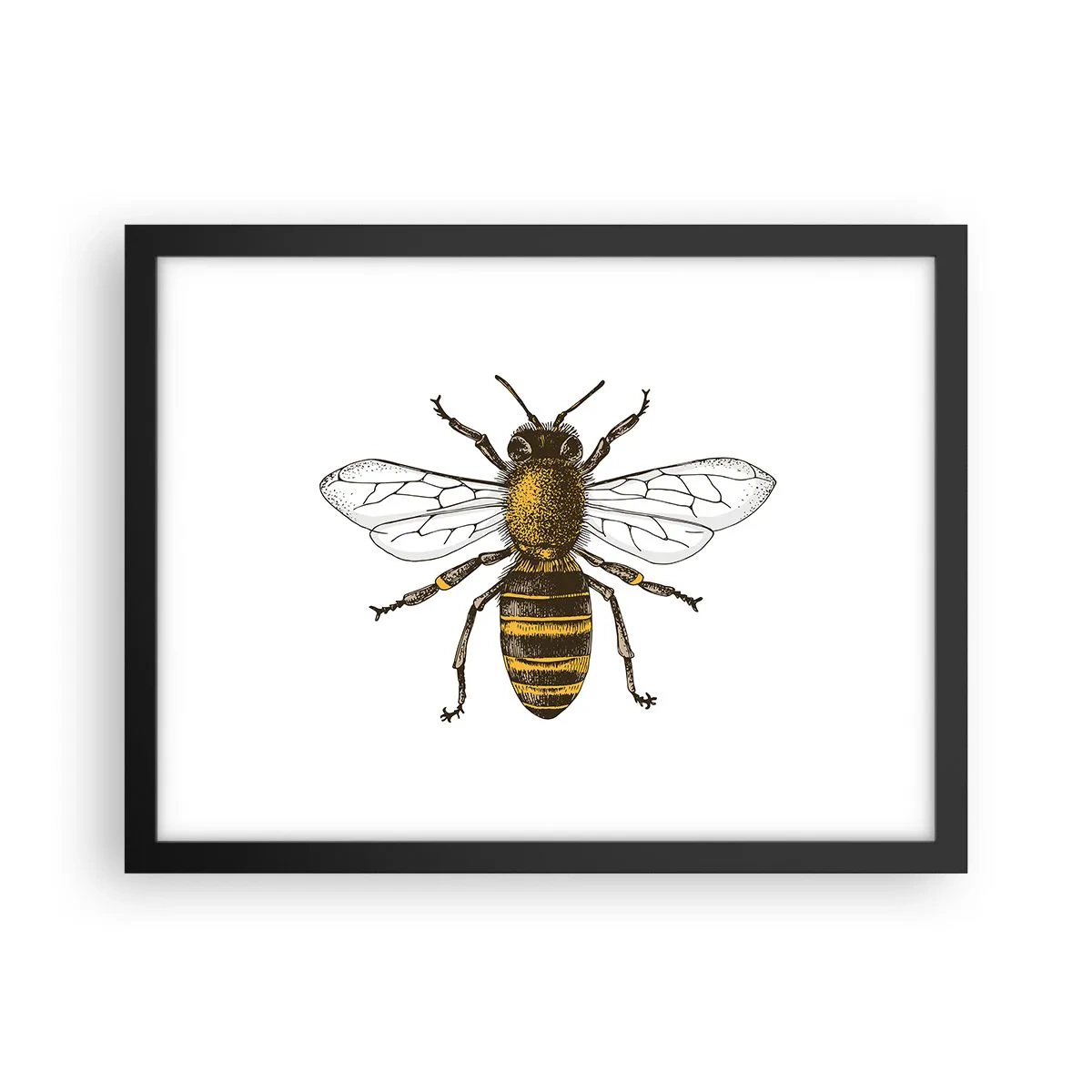 Plagát v čiernom ráme - Krásna a dobrá - 40x30 cm