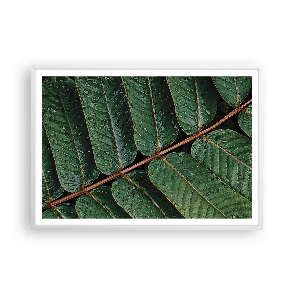 Plagát v bielom ráme - V zelenom rytme - 100x70 cm