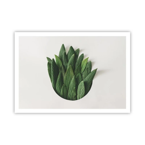 Plagát - Neukojiteľná zvedavosť - 100x70 cm