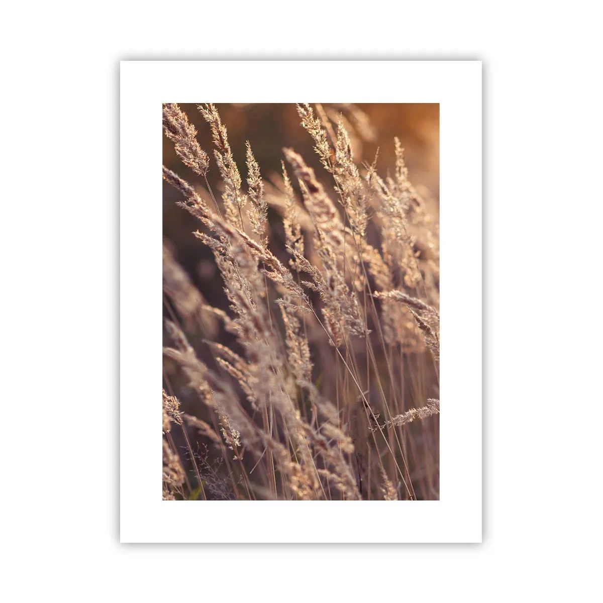 Plagát - Pripravení privítať jeseň - 30x40 cm