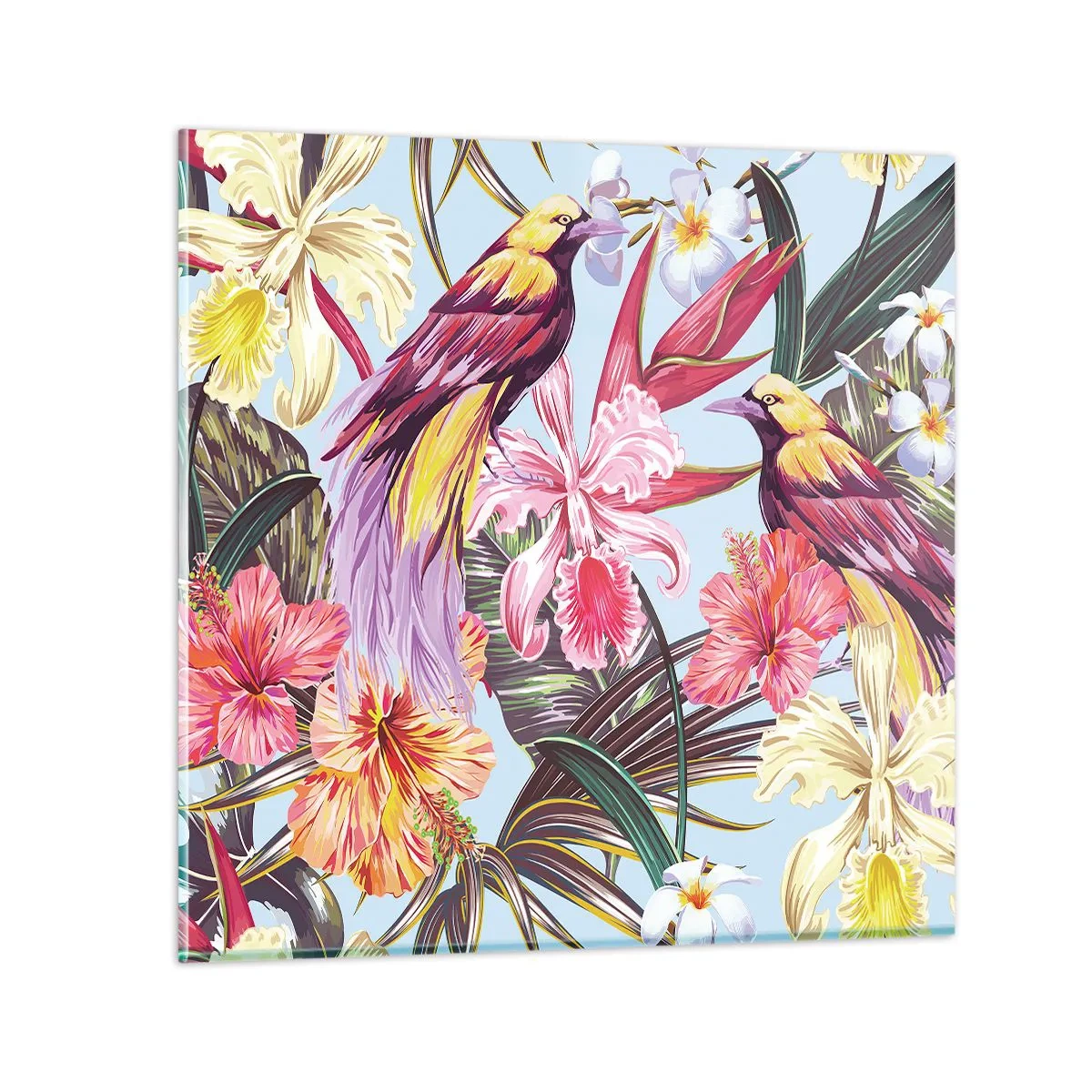 Obraz na skle - Plátky a pierka - 70x70 cm