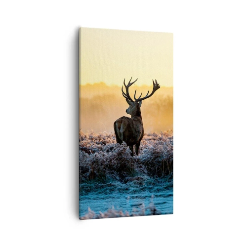 Obraz na plátne - Korunovaný na svojom panstve - 55x100 cm