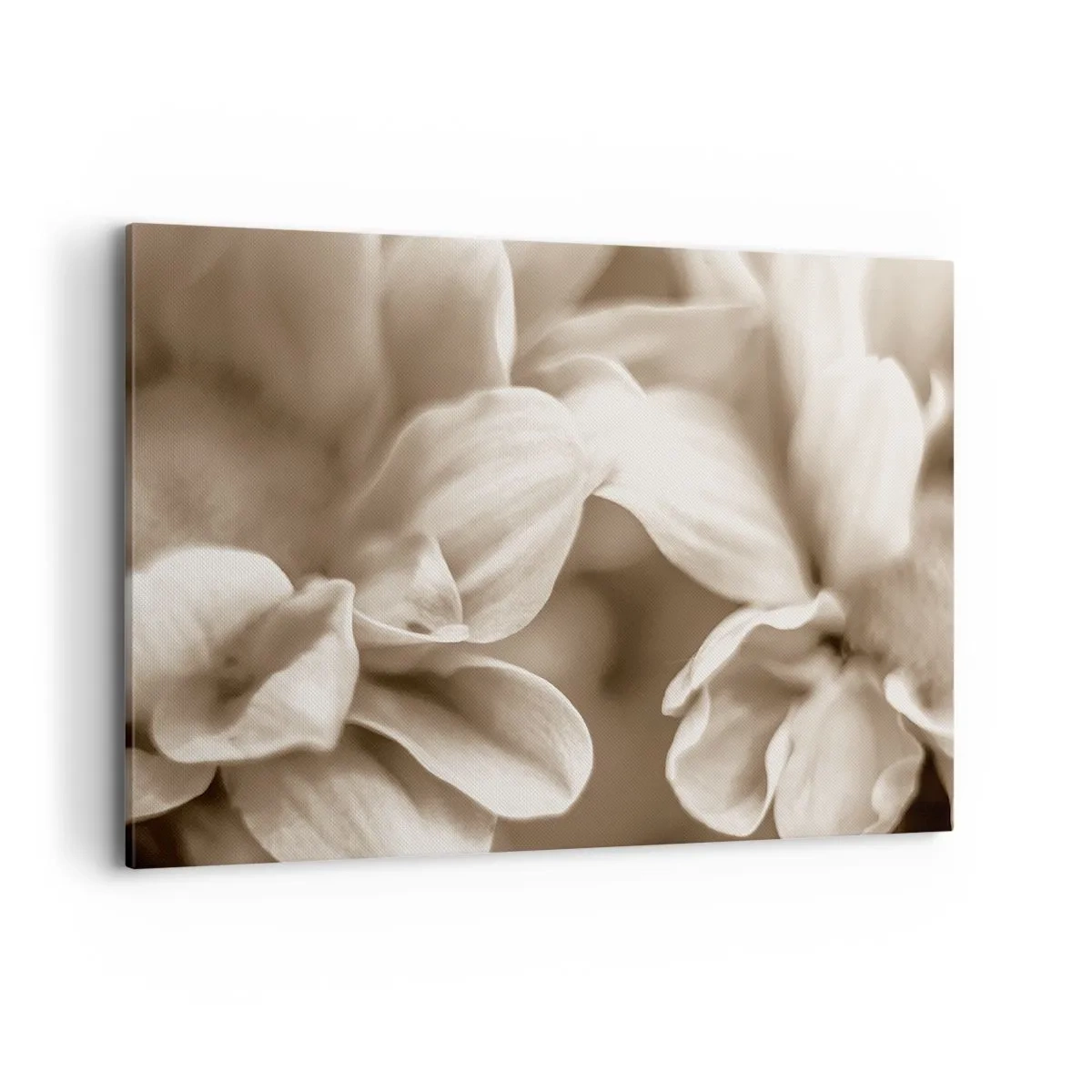 Obraz na plátne - Nežné ako úsmev - 100x70 cm