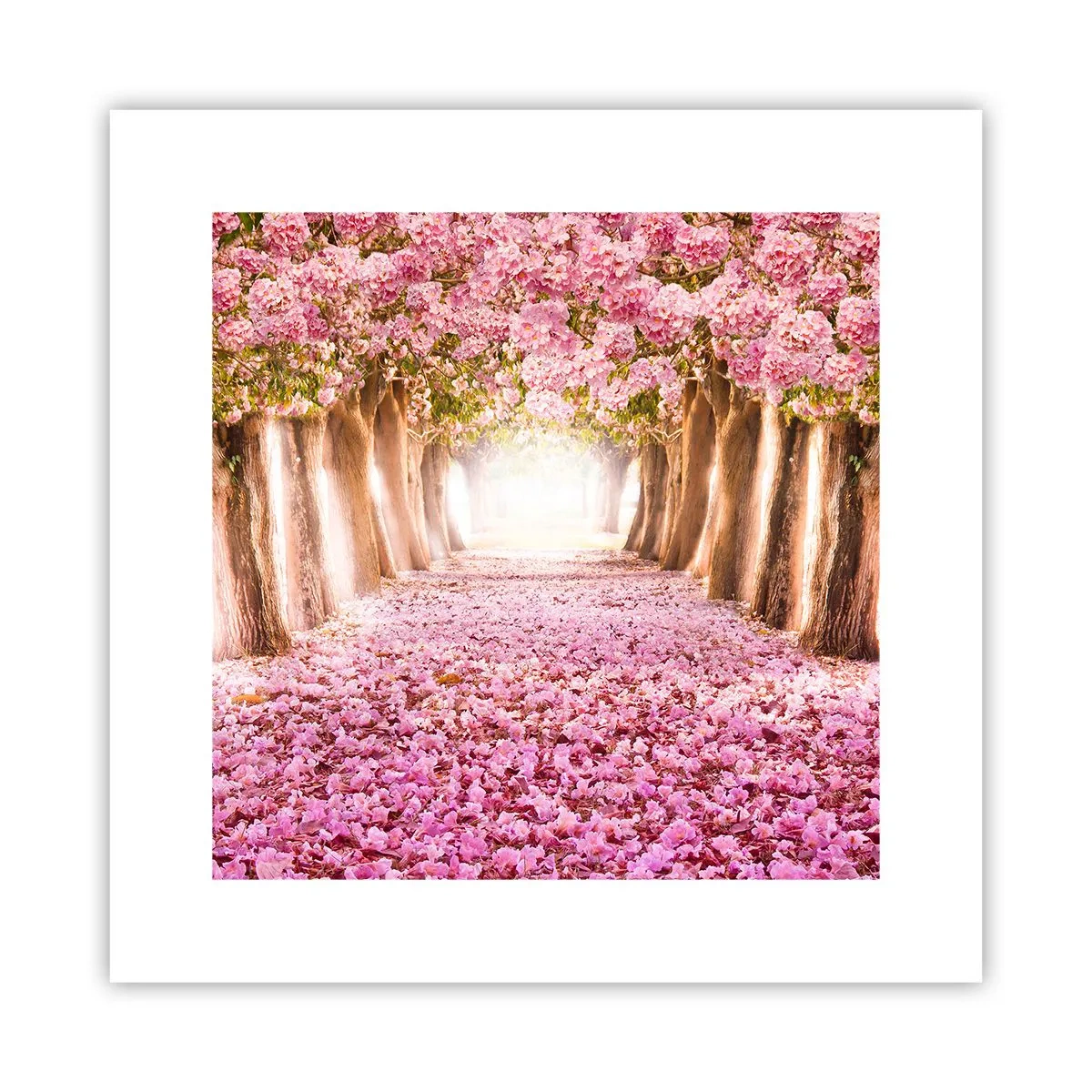 Plagát - Cesta do raja - 30x30 cm