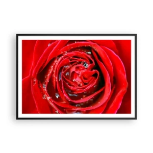 Plagát v čiernom ráme - V kvapkách rosy - 100x70 cm