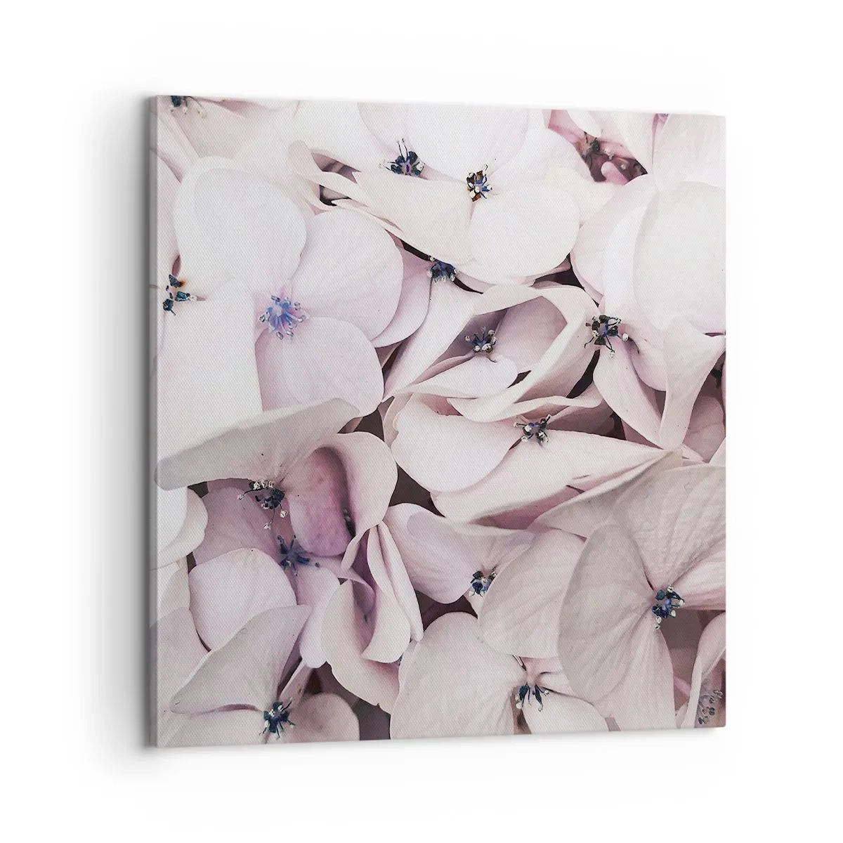 Obraz na plátne - V záplave kvetov - 60x60 cm