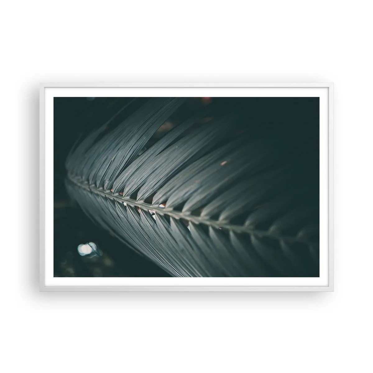 Plagát v bielom ráme - Presnosť prírody - 100x70 cm