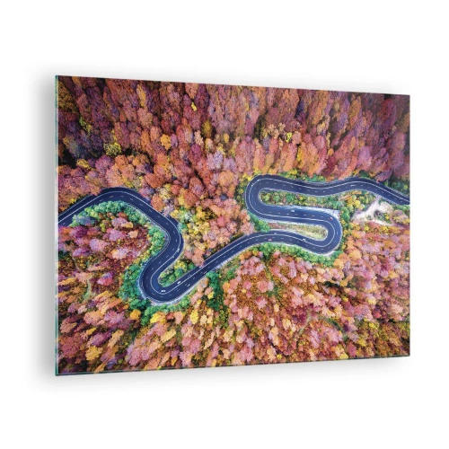 Obraz na skle - Pohľad z vtáčej perspektívy na kľukatú cestu medzi farebnými jesennými stromami - 70x50cm - Kľukatá cesta lesom - Moderná nástenná dekorácia do obývacej izby a spálne ARTTOR