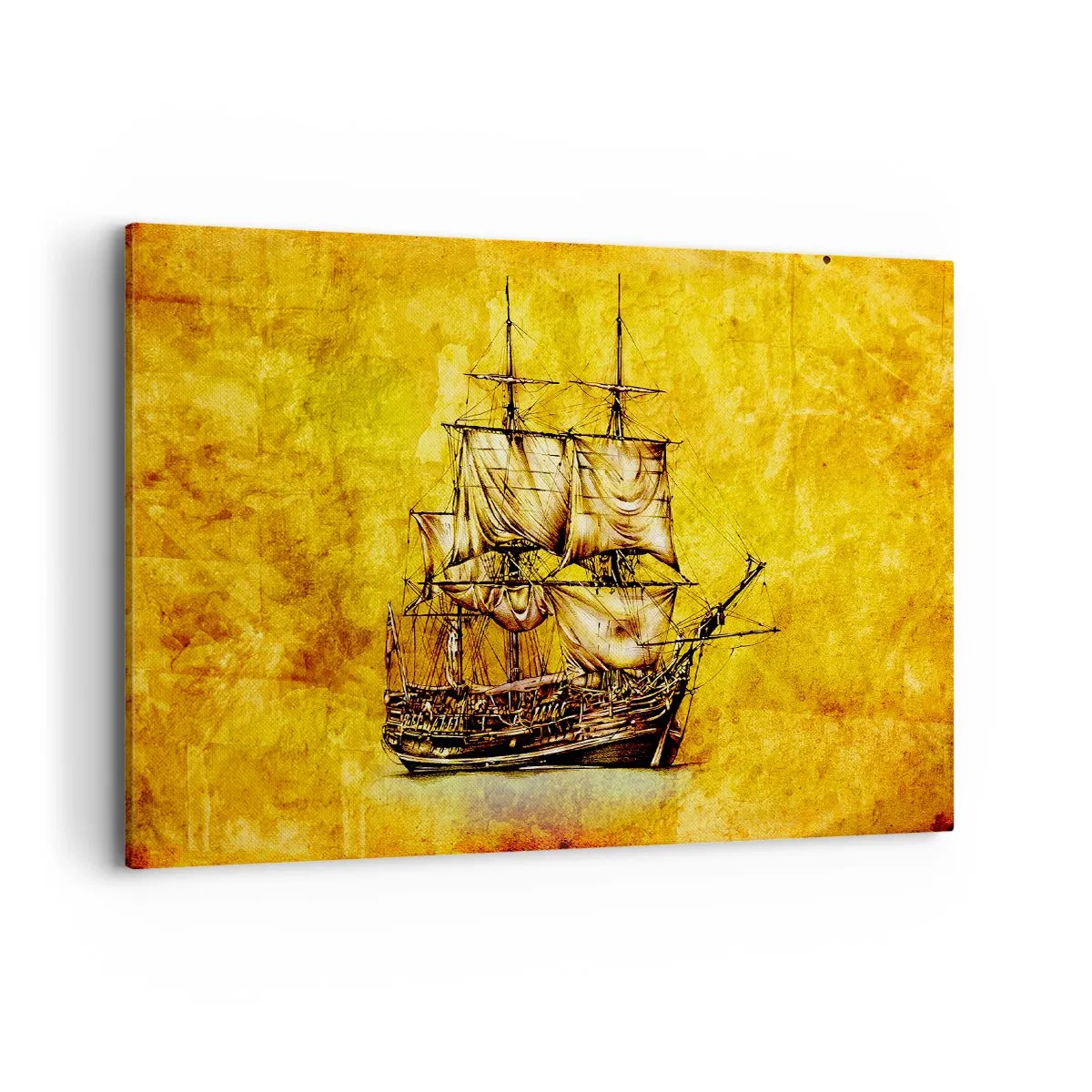 Obraz na plátne - Smer Tortuga! - 100x70 cm