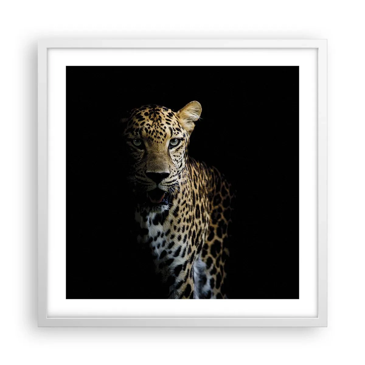 Plagát v bielom ráme - Temná krása - 50x50 cm