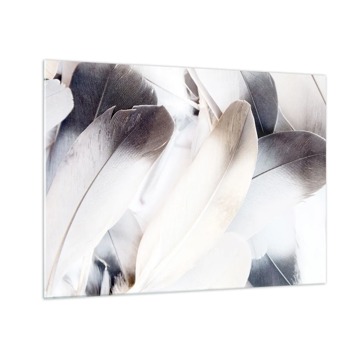 Obraz na skle - Jemné, svetlé pierka v odtieňoch bielej a sivej - 70x50cm - Takmer anjelské - Moderná nástenná dekorácia do obývacej izby a spálne ARTTOR