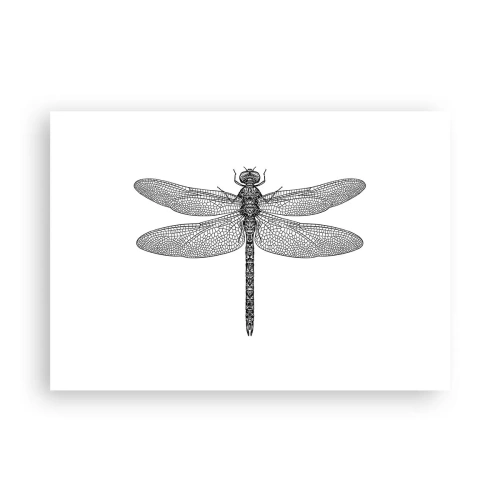 Plagát - Presnosť prírody - 100x70 cm