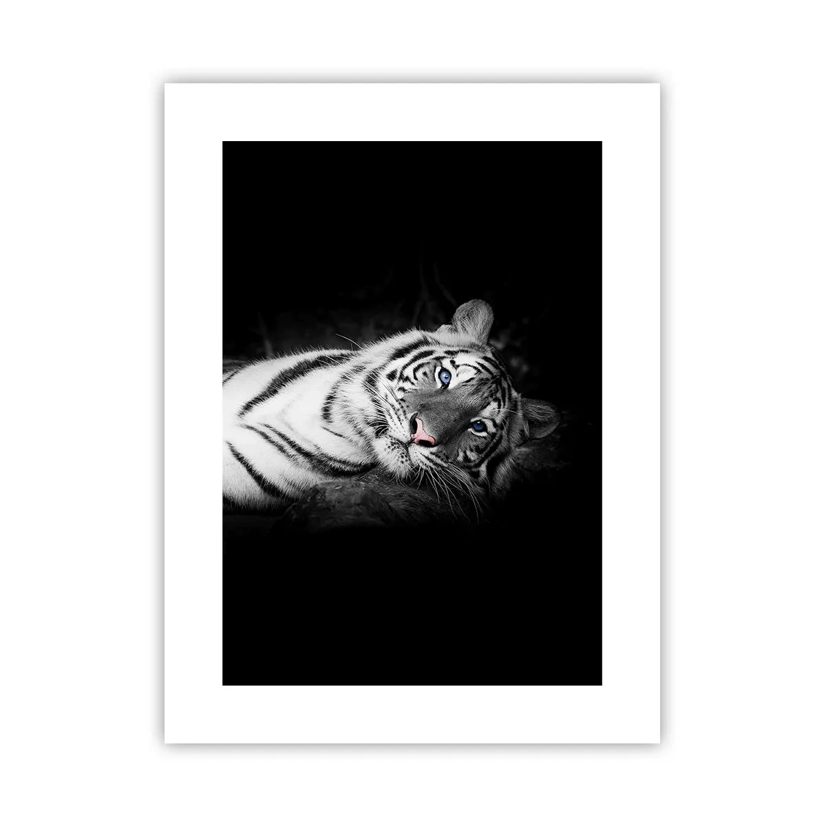 Plagát - Divočina a pokoj - 30x40 cm