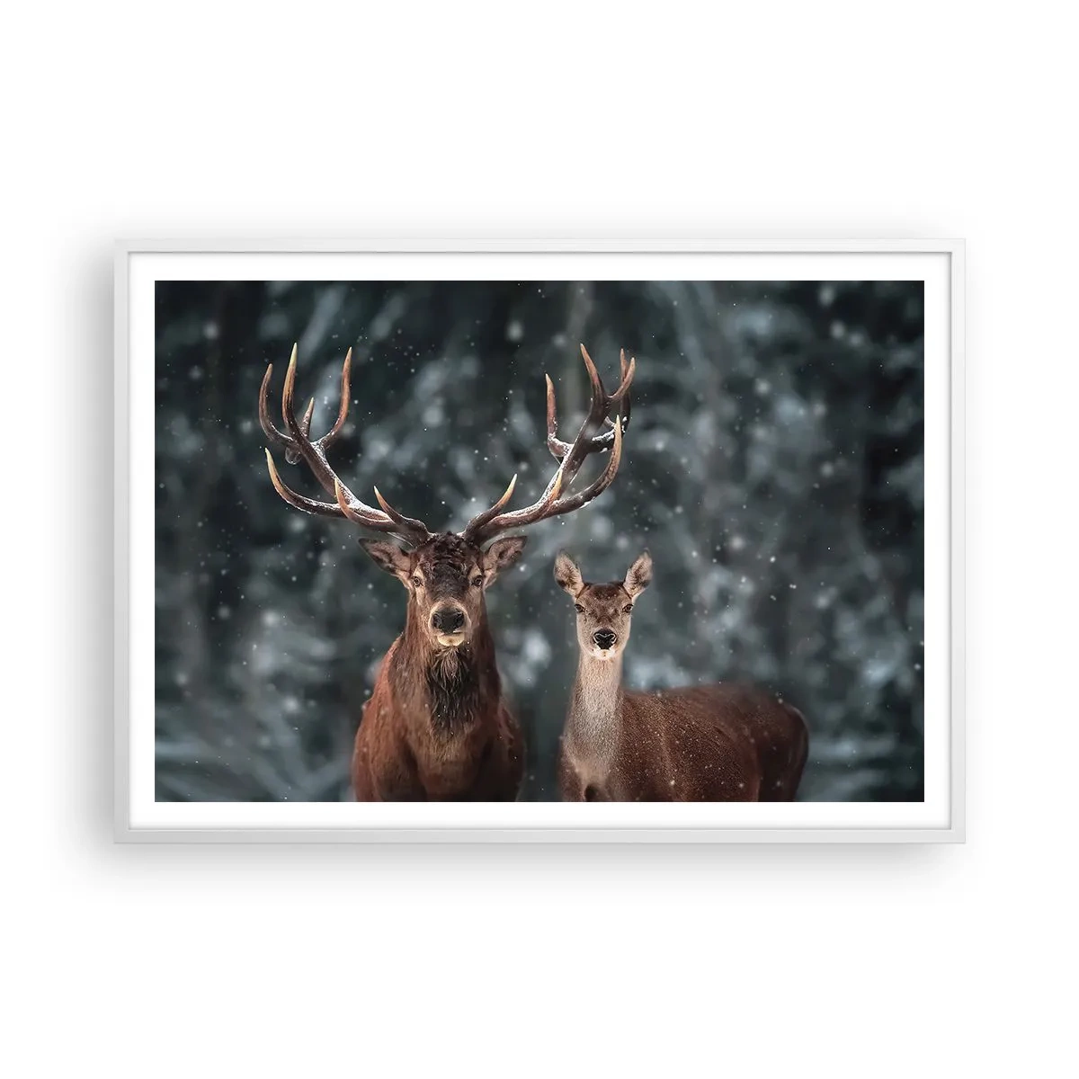 Plagát v bielom ráme - Pán lesa so svojou ženou - 100x70 cm