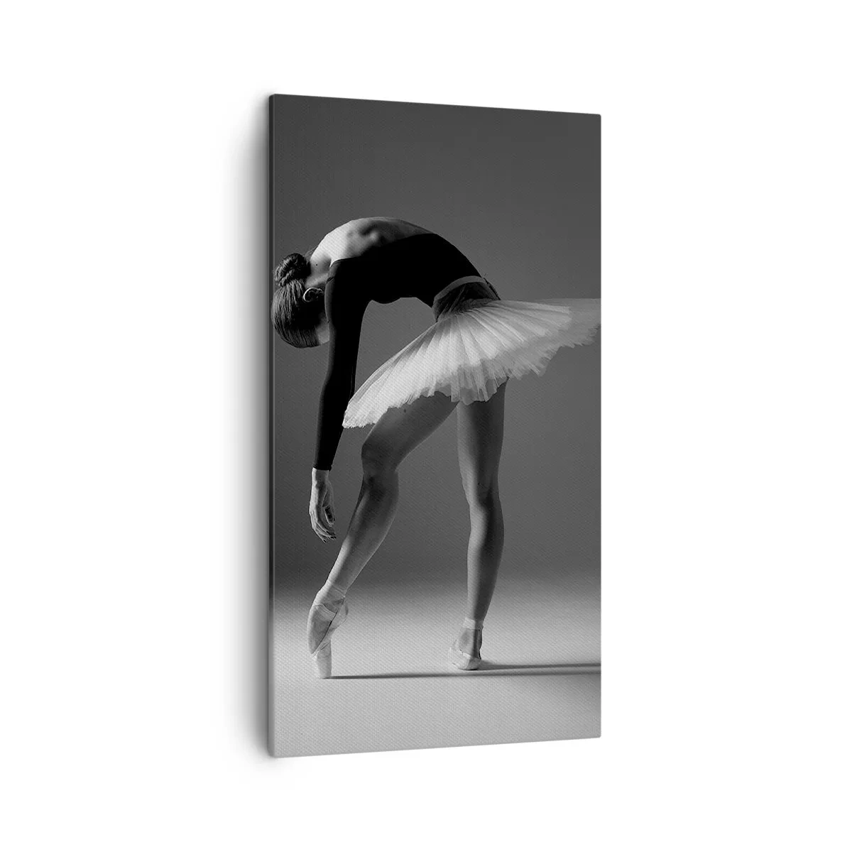 Obraz na plátne - Bella ballerina - 45x80 cm