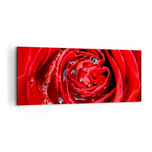 Obraz na plátne - V kvapkách rosy - 100x40 cm